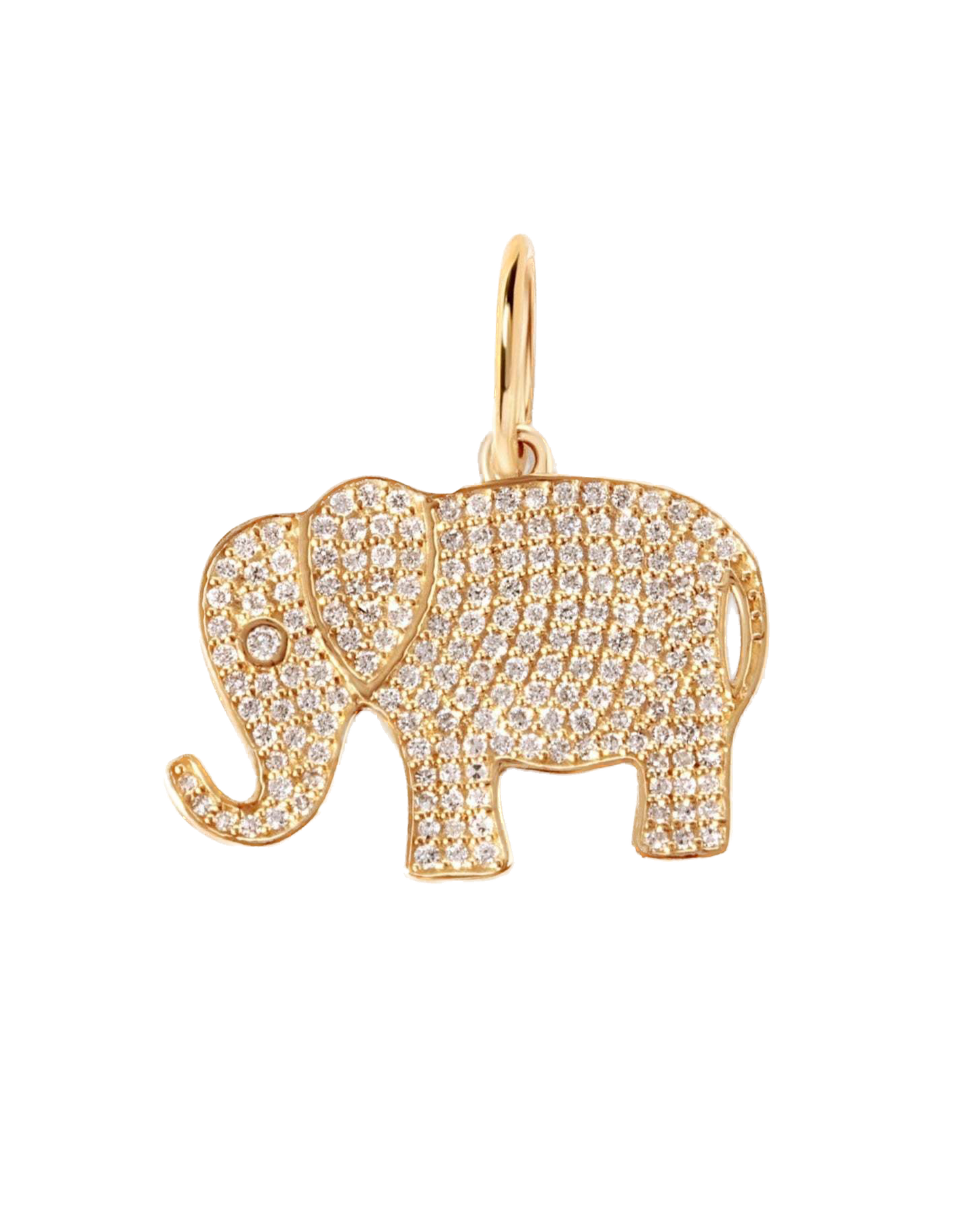 Elefante