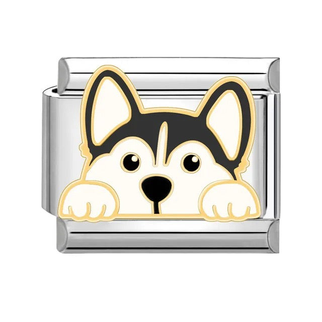 Italian bracelet plano - perrito