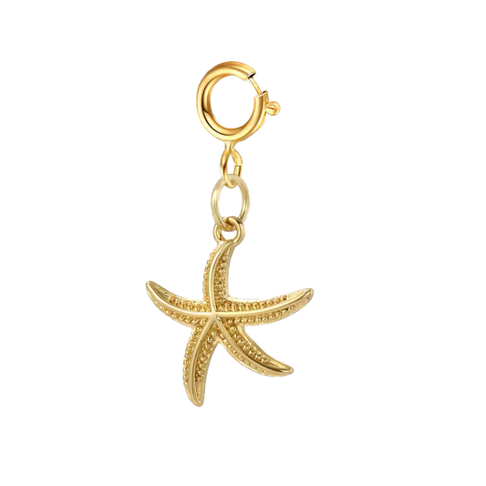Bikini & shoe clip - estrellita de mar