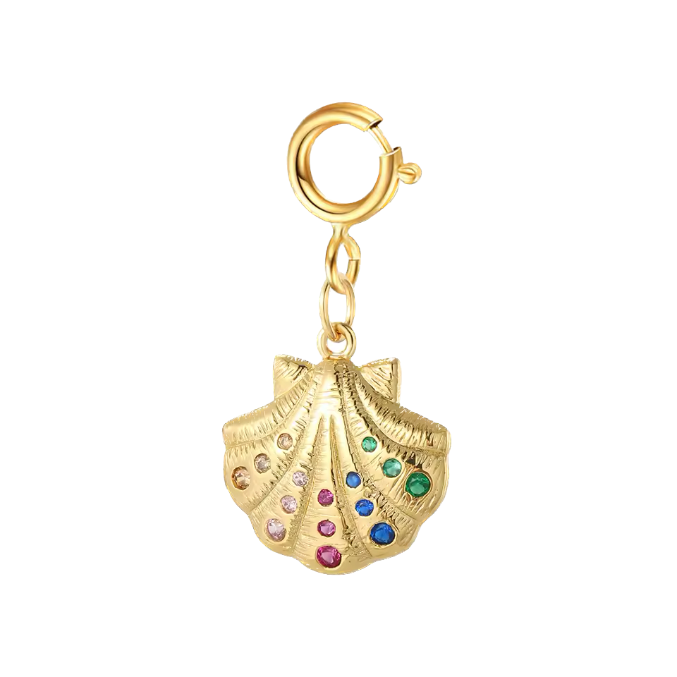 Bikini & shoe clip - multicolor shell