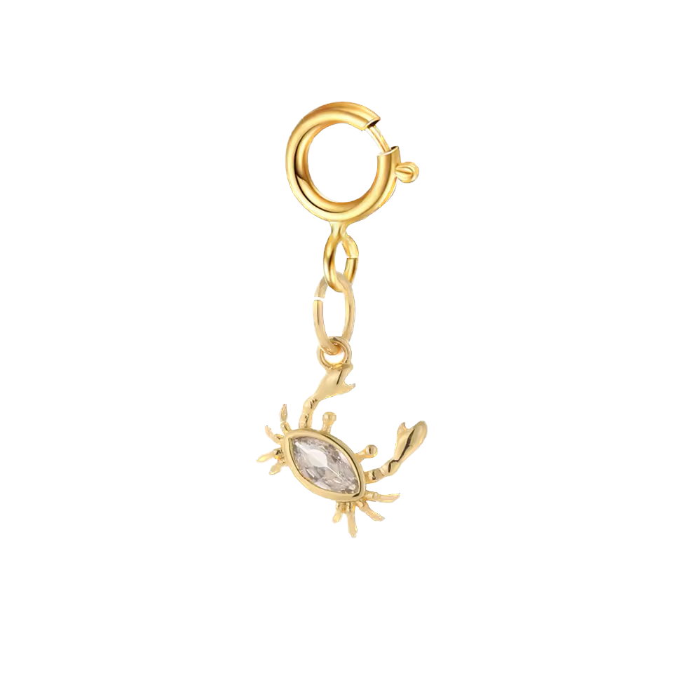 Bikini & shoe clip - little crab