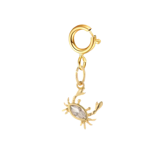 Bikini & shoe clip - little crab