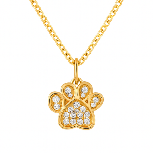 Collar de patita de perrito