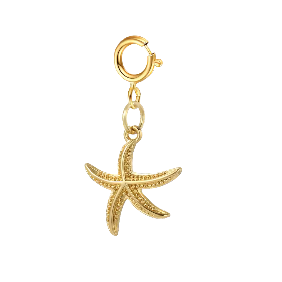 Bikini & shoe clip - estrellita de mar